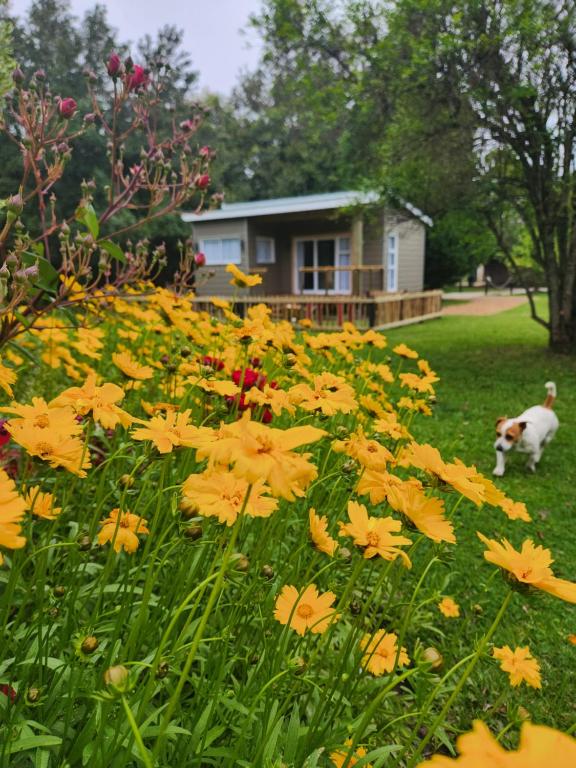 Tsitsikamma Garden Chalets